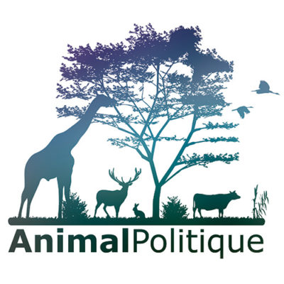 animal politique collectif ONG