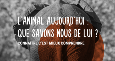 L'animal aujourd'hui: que savons-nous de lui?