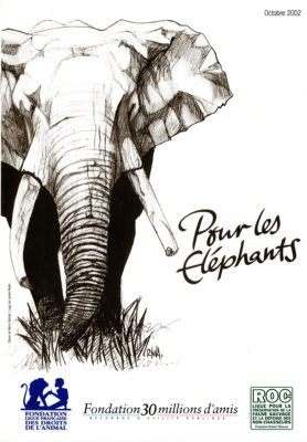 Dossier "Pour les éléphants"