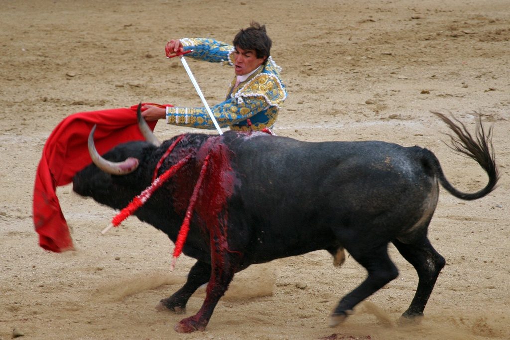 tauromachie