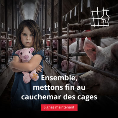 Ensemble, mettons fin au cauchemar des cages