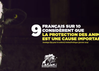 9 Français sur 10 considèrent que la protection des animaux est une cause importante