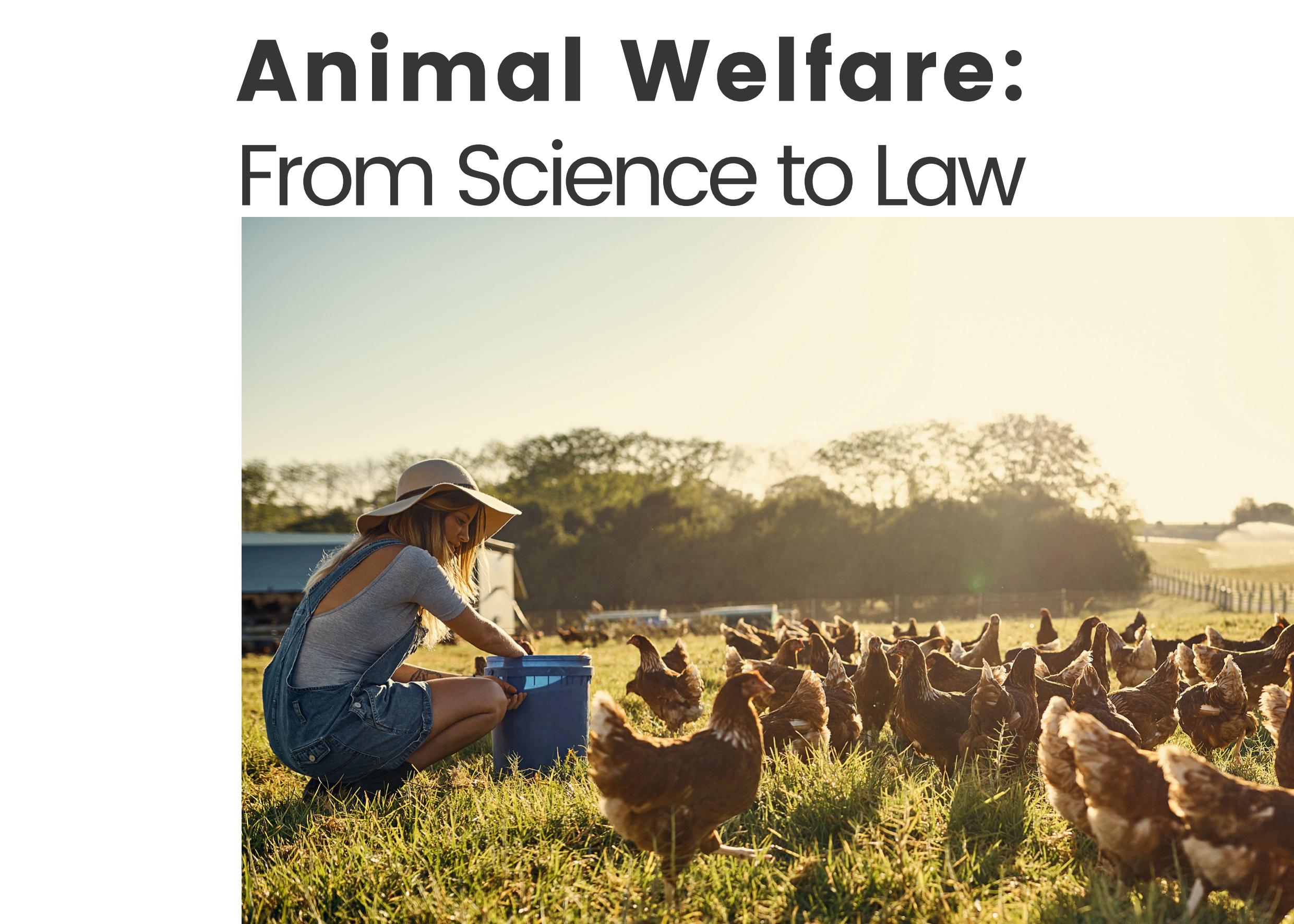 concept paper about animal welfare and rights