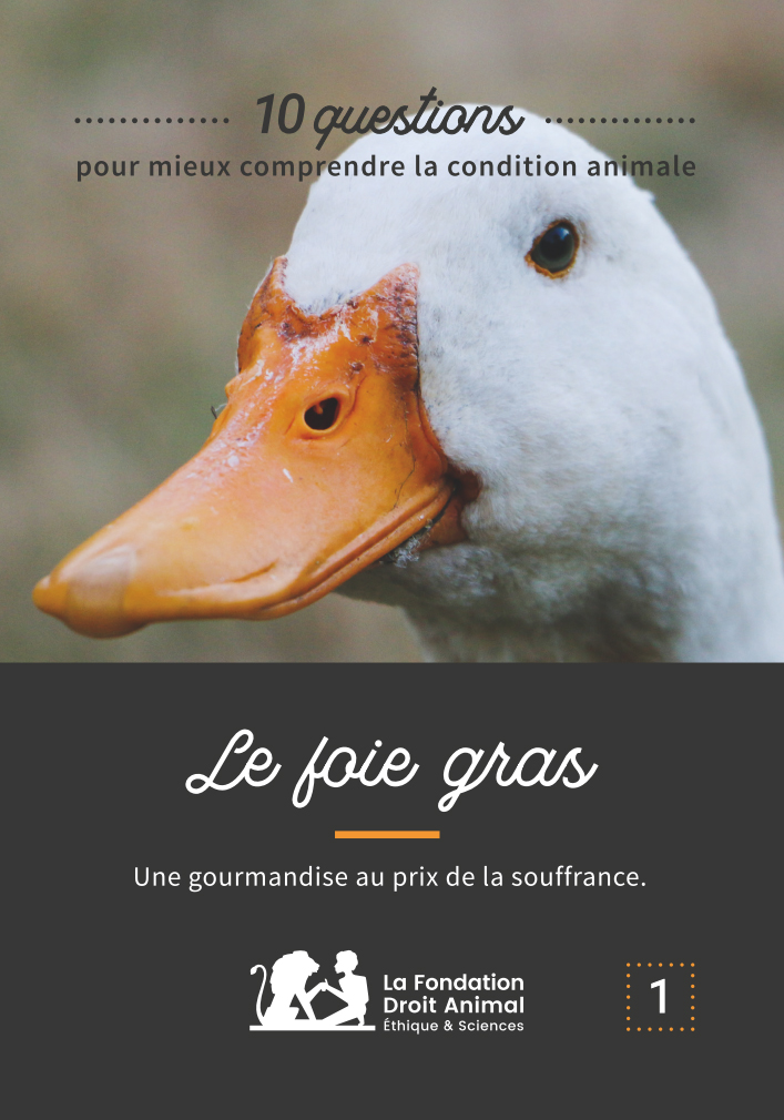 Une nouvelle technique permet de produire du foie gras sans gavage