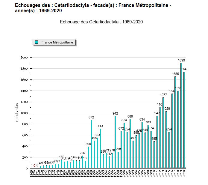 Echouages de cétacés entre 1969 et 2020