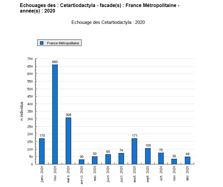 Echouages mensuels de cétacés en 2020