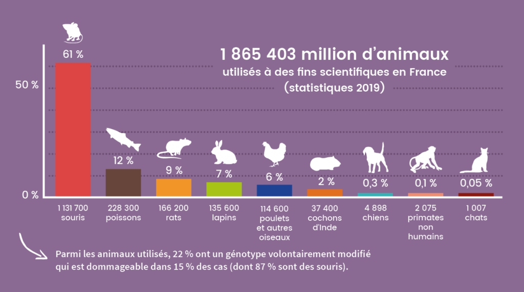 Graphique par espèce des animaux utilisés à des fins scientifiques en France