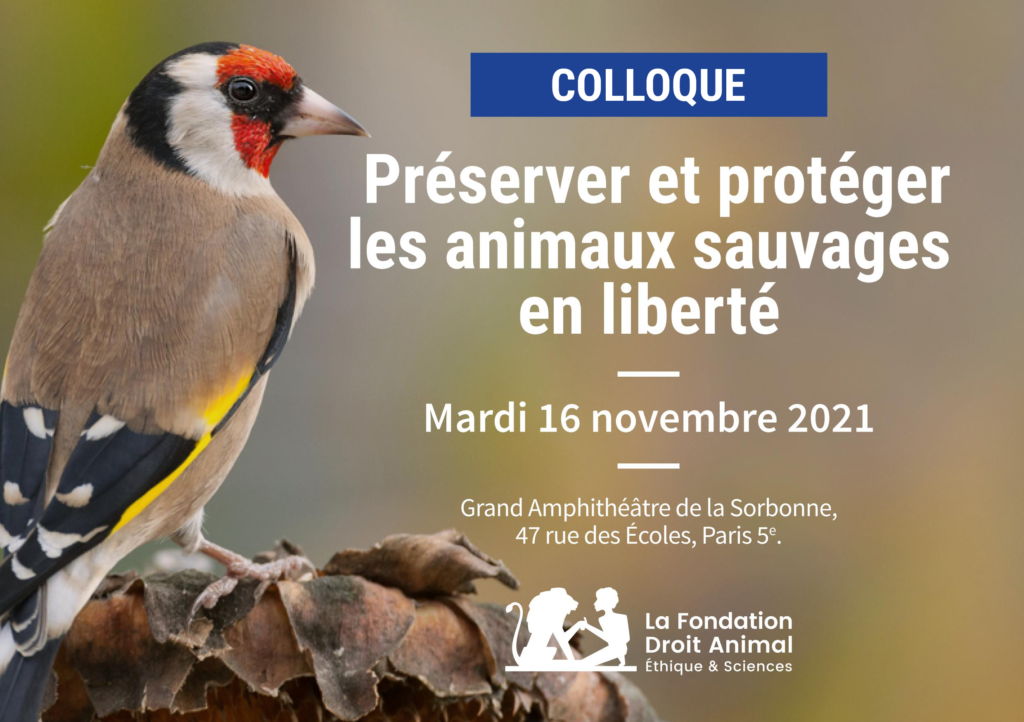 Préserver et protéger les animaux sauvages en liberté