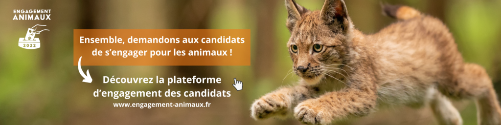 Bannière de la plateforme Engagement Animaux 2022 pour la présidentielle