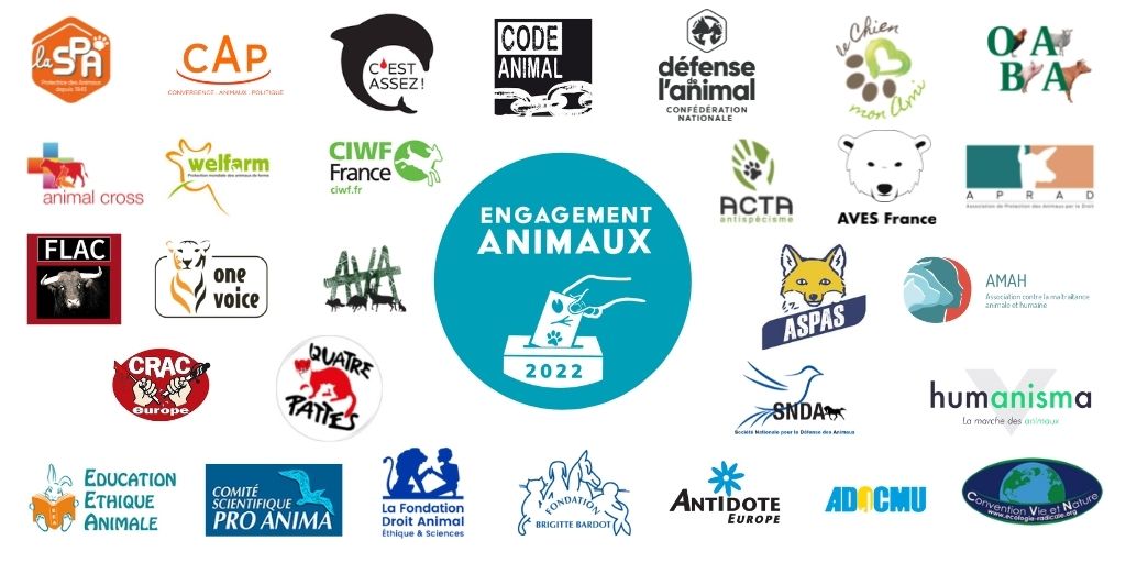 Engagement Animaux 2022 : 22 mesures sur la cause animale seront portées auprès des candidats à l'élection présidentielle.