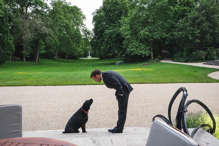 Le premier mandat d'E. Macron arrivant à son terme, quel bilan peut-on tirer de son quinquennat concernant la protection animale ?