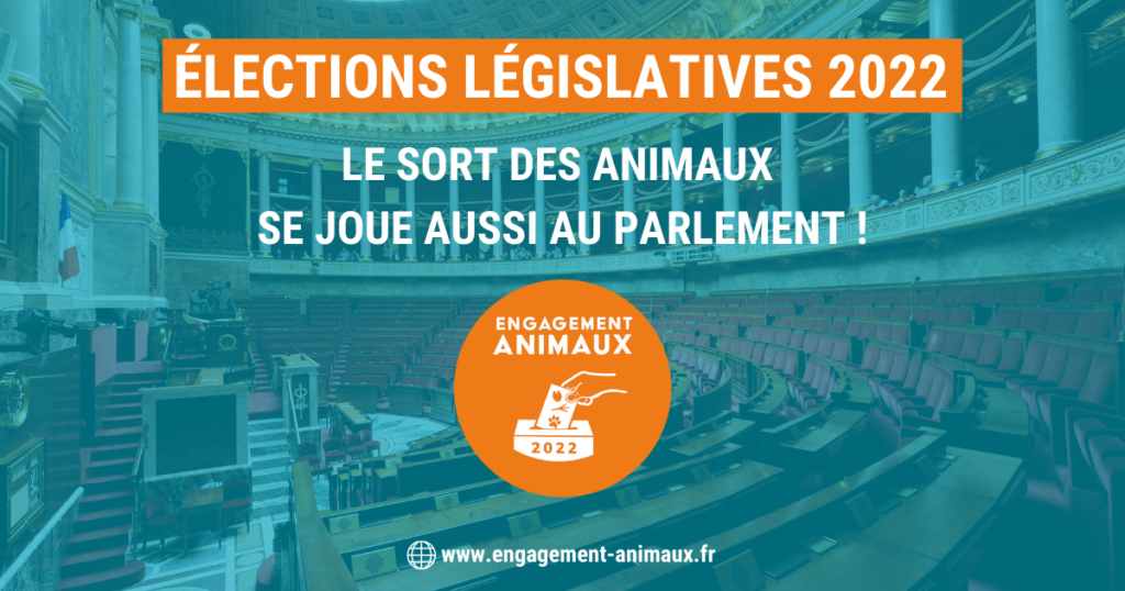 Le sort des animaux se joue aussi au Parlement