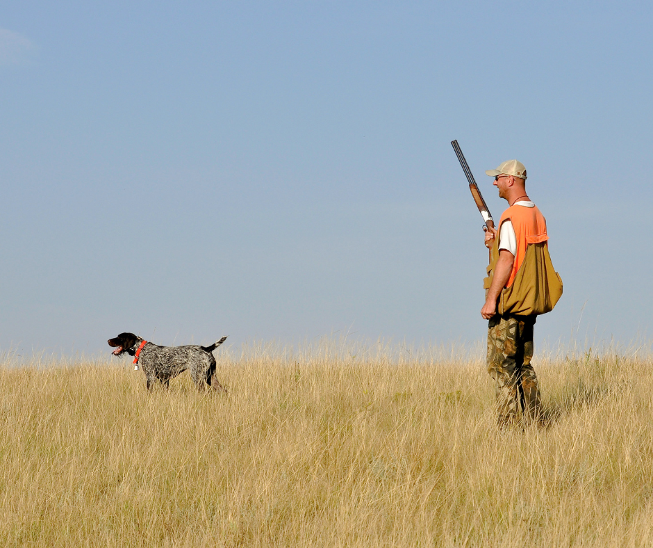 Comment sécuriser la pratique de la chasse ?
