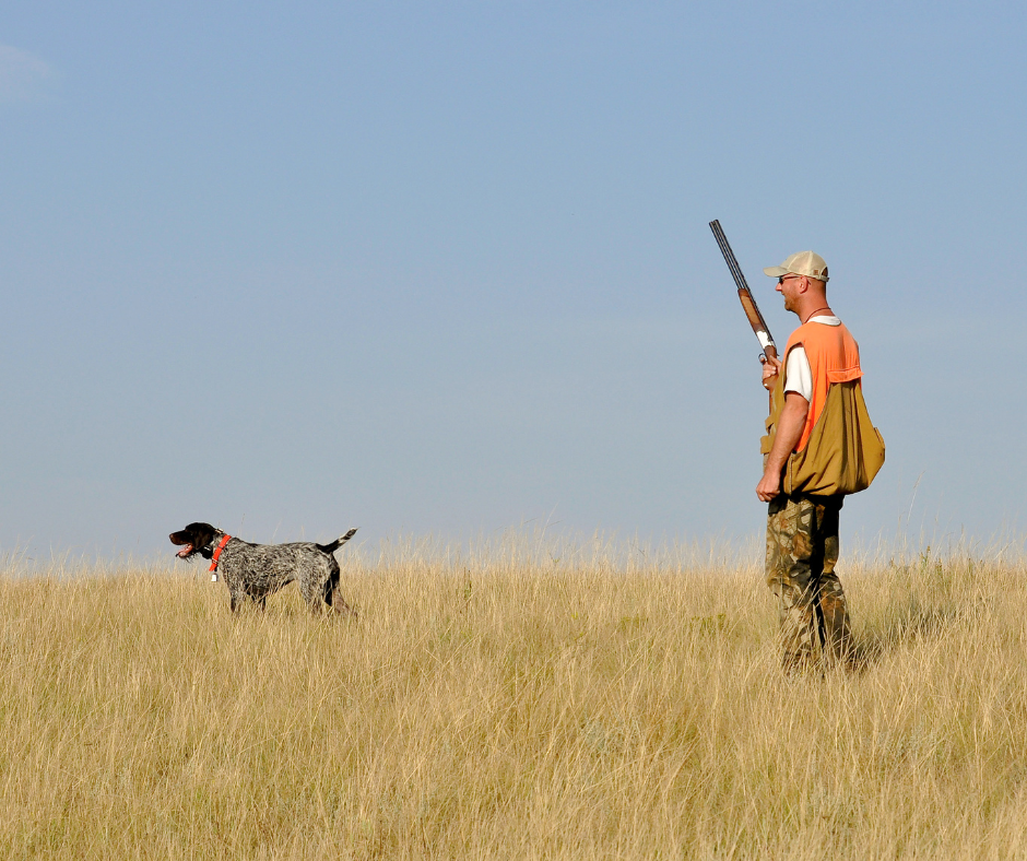 Pour plus de sécurité à la chasse