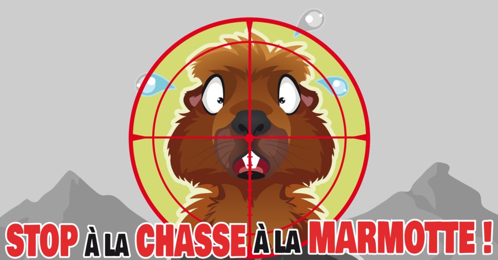 Stop à la chasse à la marmotte