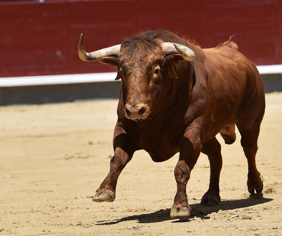 Le 24 novembre, la proposition de loi du député Aymeric Caron visant à abolir la corrida sera débattue pour la première fois dans l’hémicycle