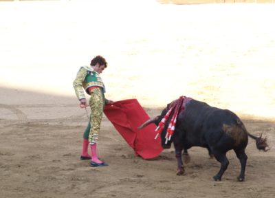 torero face à un taureau (corrida)