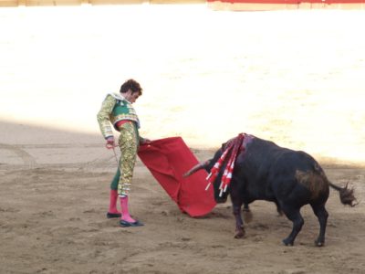 torero face à un taureau (corrida)