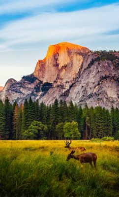 parc Yosemite