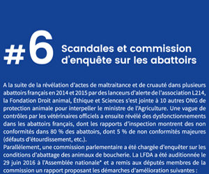 Scandales et commission d'enquête sur les abattoirs