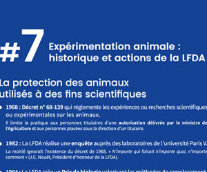 Expérimentation animale