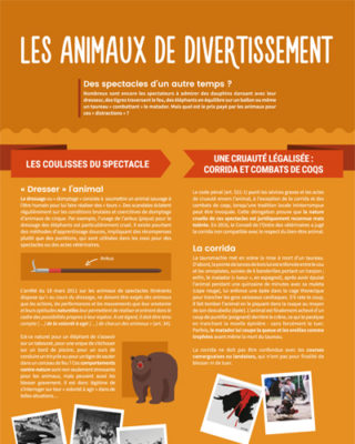 Animaux de "divertissement"