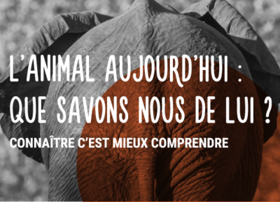 L'animal aujourd'hui: que savons-nous de lui?