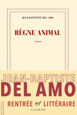 Livre "Règne animal" de JB Del Amo