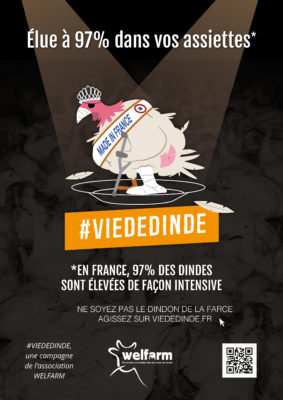 affiche vie de dinde