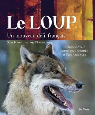 Le loup un nouveau défi français