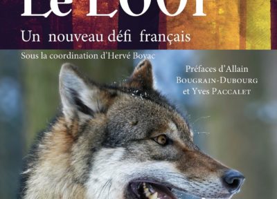 Le loup un nouveau défi français