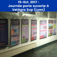 ENV_Lyon copie
