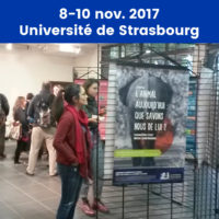 Strasbourg copie