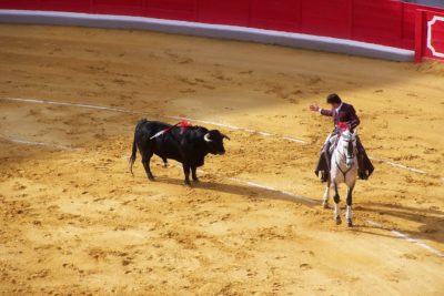 corrida à cheval