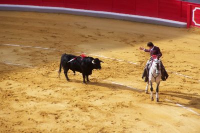 corrida à cheval