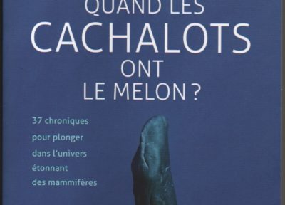 Depuis quand les cachalots ont le melon?, Jean-Louis Hartenberger
