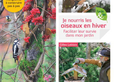 Je nourris les oiseaux en hiver, faciliter leur survie dans mon jardin