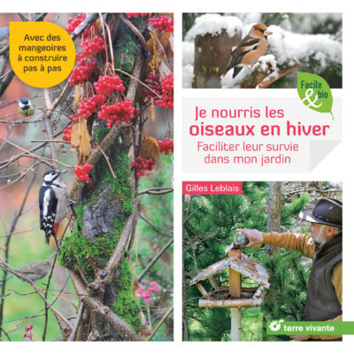 Je nourris les oiseaux en hiver, faciliter leur survie dans mon jardin