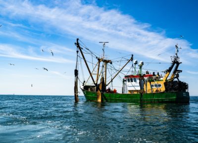 Pêche commerciale