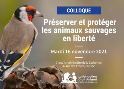 Préserver et protéger les animaux sauvages en liberté