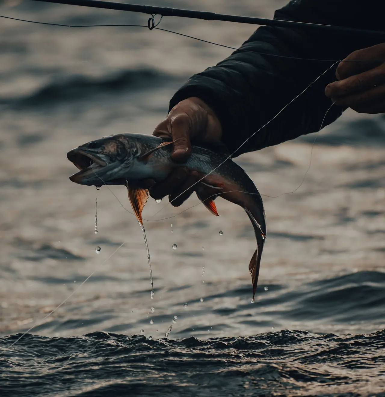 Poisson hameçon