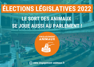 Le sort des animaux se joue aussi au Parlement