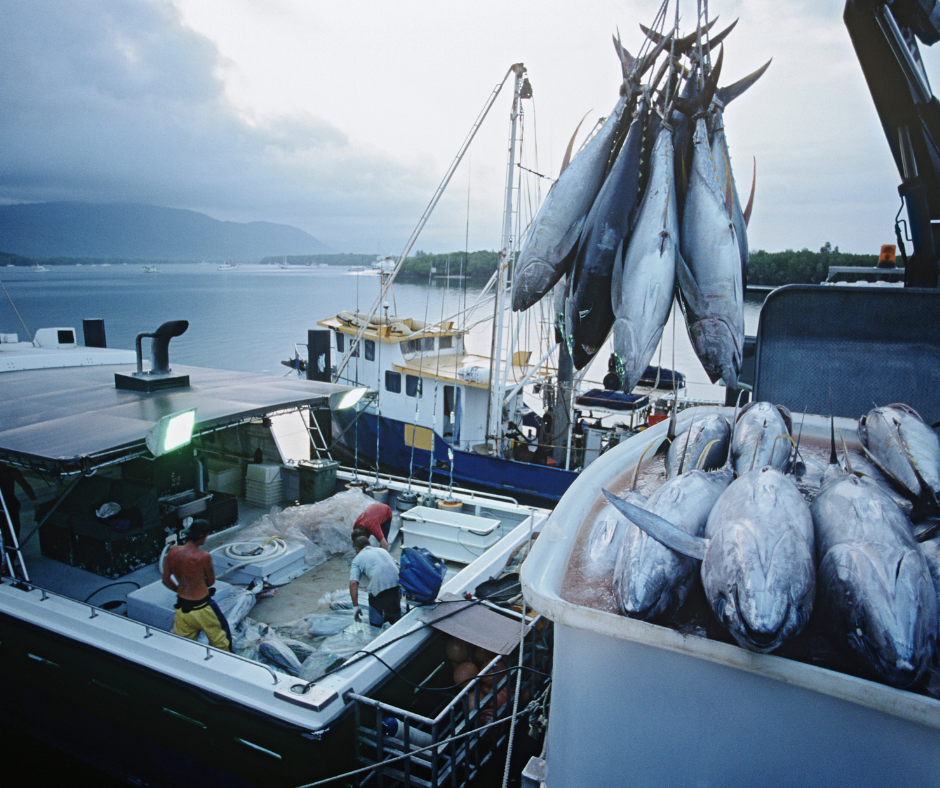 Peche illicite union européenne