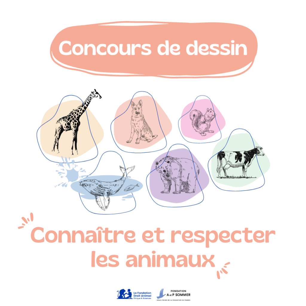 Concours de dessin de la LFDA sur les animaux