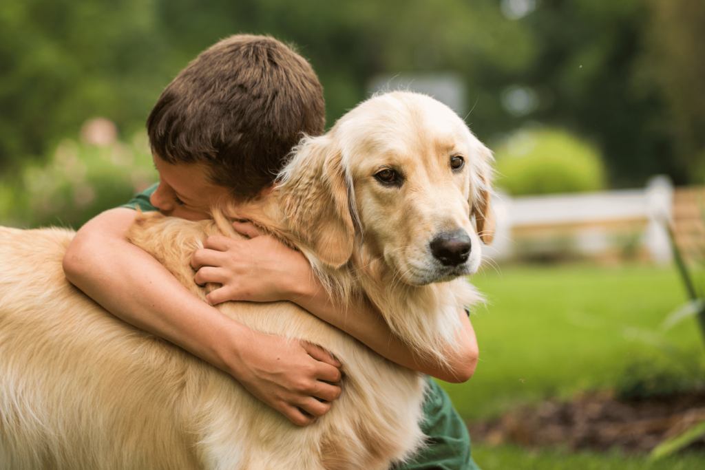 Un enfant qui fait un câlin à un chien golden retriever