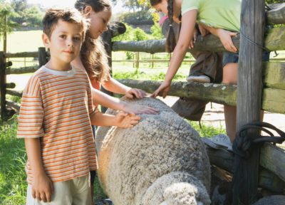 Enfants qui caressent un mouton