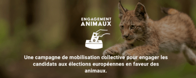 Engagement Animaux 2024