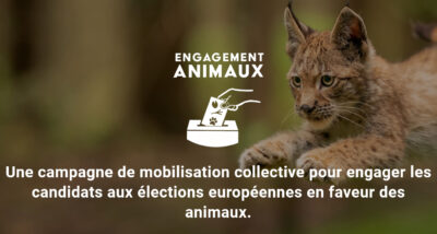 Engagement Animaux 2024