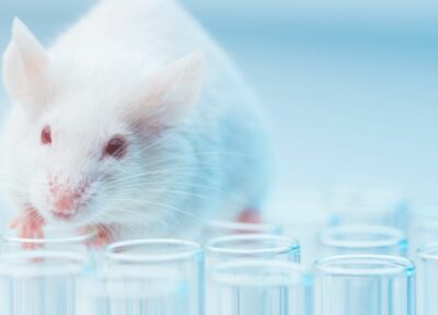 Journée mondiale des animaux de laboratoire
