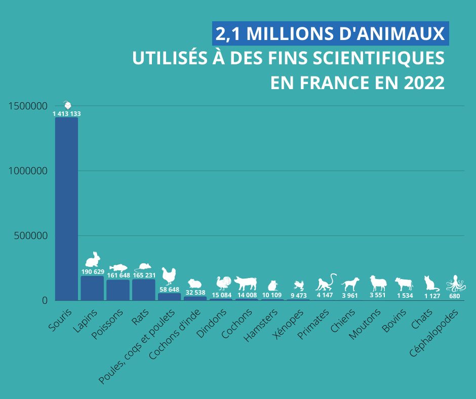 Statistiques animaux de laboratoire